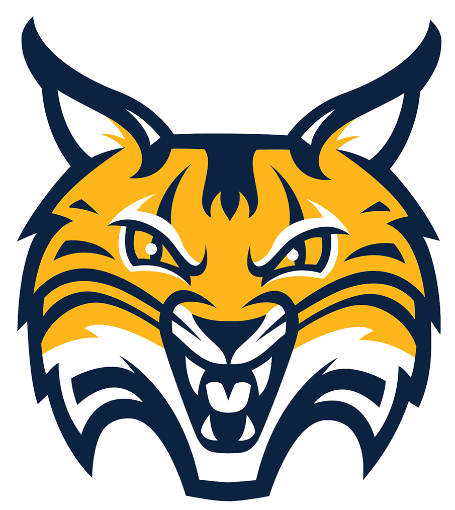 Quinnipiac Bobcats 2019-Pres Alternate Logo v3 iron on transfers for T-shirts
